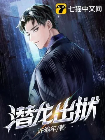 《潜龙出狱》小说封面