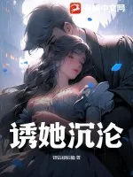 《诱她沉沦》小说封面