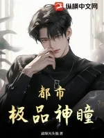 《都市极品神瞳》小说封面
