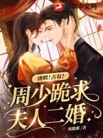 《诱哄！占有！周少跪求夫人二婚！》小说封面