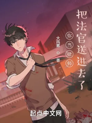 《你当律师，把法官送进去了？》小说封面