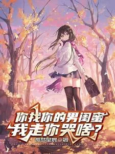 《你找你的男闺蜜，我走你哭啥？》小说封面