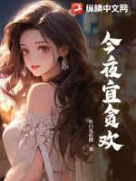 《今夜宜贪欢》小说封面