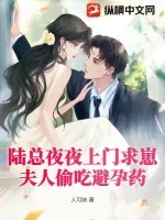 《陆总夜夜上门求崽，夫人偷吃避孕药》小说封面
