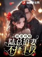 《前妻攻略，陆总追妻不择手段》小说封面