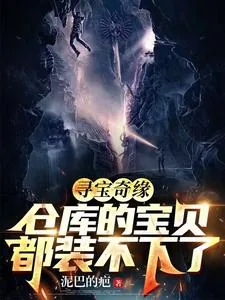 《寻宝奇缘,仓库的宝贝都装不下了》小说封面