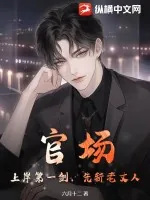 《官场：上岸第一剑，先斩老丈人》小说封面