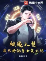《被逼入赘，我只好化身女装大佬》小说封面