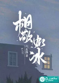 《相敬如冰》小说封面