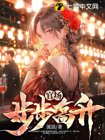 《官场:步步高升》小说封面