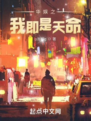 《华娱之我即是天命》小说封面