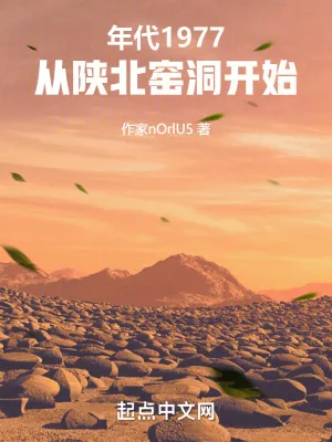 《年代：从陕北窑洞开始》小说封面