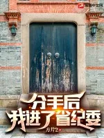 《分手后，我进了省纪委》小说封面