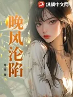 《晚风沦陷》小说封面