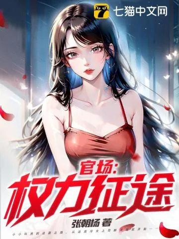 《官场：权力征途》小说封面