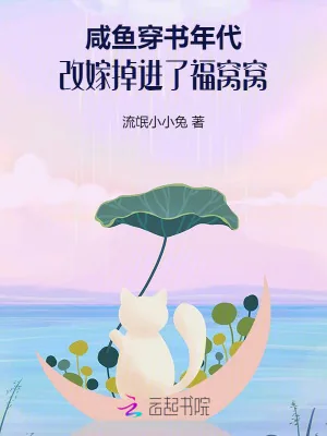 《咸鱼穿书年代，改嫁掉进了福窝窝》小说封面