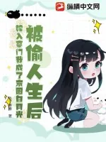 《被偷人生后，嫁入豪门我成了京圈白月光》小说封面