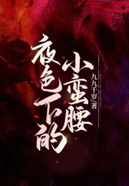 《夜色下的小蛮腰》小说封面