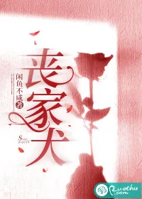 《丧家犬》小说封面