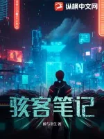 《骇客笔记》小说封面