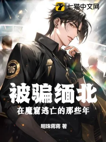 《被骗缅北,在魔窟逃亡的那些年》小说封面