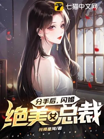 《分手后,闪婚绝美女总裁》小说封面