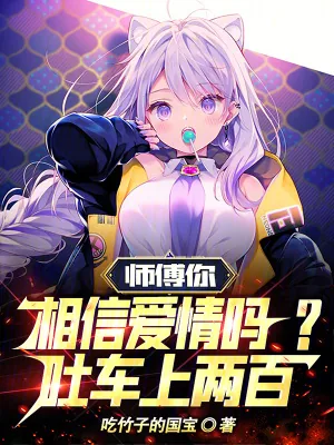 《师傅你相信爱情吗？吐车上两百！》小说封面