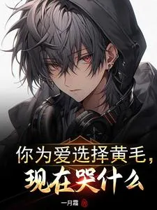 《你为爱选择黄毛，现在哭什么》小说封面