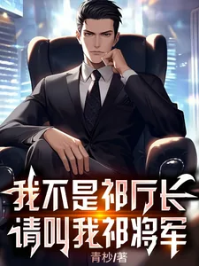 《我不是祁厅长，请叫我祁将军》小说封面
