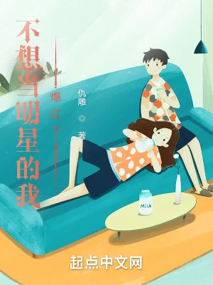 《不想当明星的我爆红了》小说封面