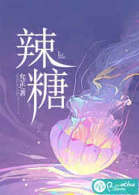 《辣糖》小说封面
