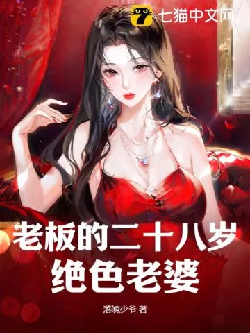 《老板的二十八岁绝色老婆》小说封面