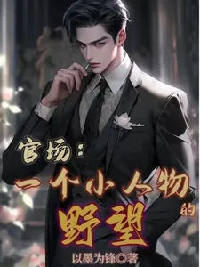 《官场：一个小人物的野望》小说封面