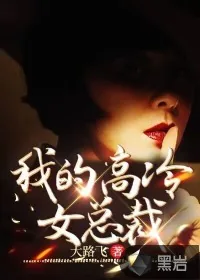《我的高冷女总裁》小说封面