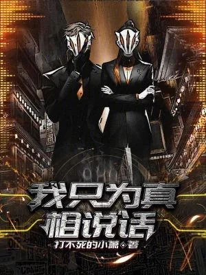 《我只为真相说话》小说封面