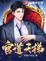 《官道天梯》小说封面