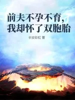 《前夫不孕不育，我却怀了双胞胎》小说封面