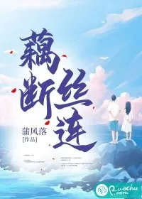 《藕断丝连》小说封面