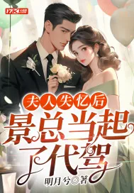 《夫人失忆后，景总当起了代驾》小说封面