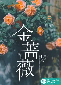 《金蔷薇》小说封面