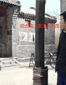 《四合院:重生许大茂》小说封面
