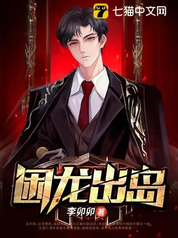《困龙出岛》小说封面