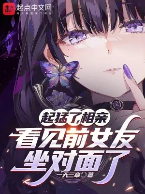 《起猛了，相亲看见前女友坐对面了》小说封面