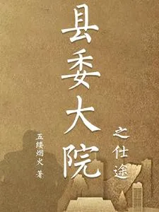 《县委大院之仕途》小说封面