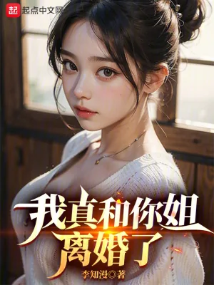 《我真和你姐离婚了》小说封面