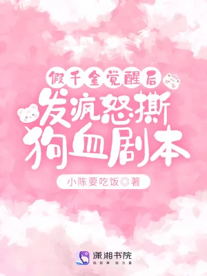 《假千金觉醒后，发疯怒撕狗血剧本》小说封面