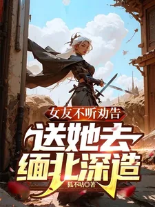 《女友不听劝告，送她去缅北深造》小说封面