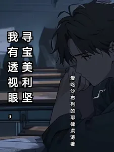 《我有透视眼,寻宝美利坚》小说封面