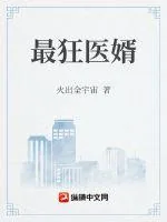 《最狂医婿》小说封面