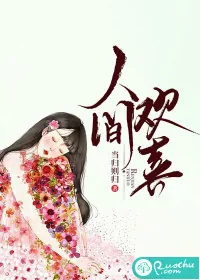 《人间欢喜》小说封面